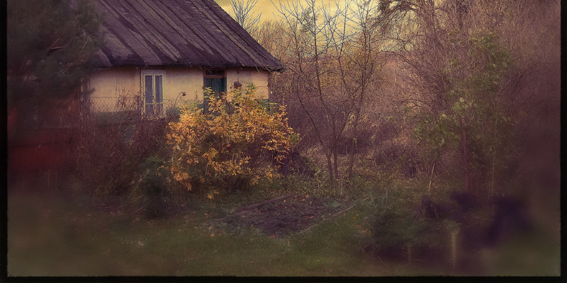 A Tepee in the Trees Defies the Ordinary