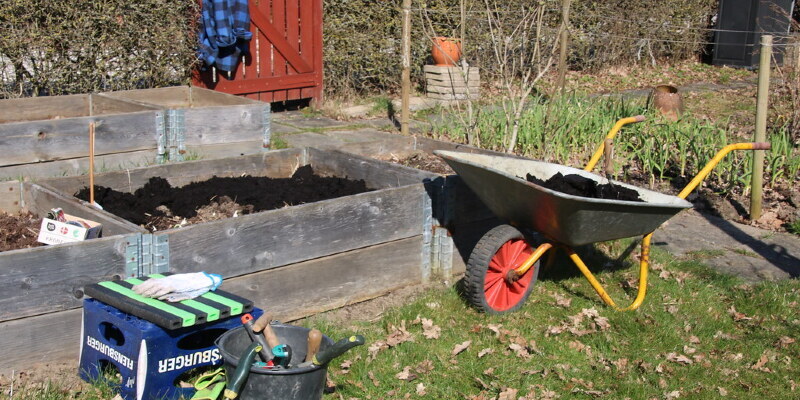 The way to Pick a Peach Tree